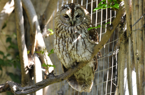 World of Birds Wildlife Sanctuary.